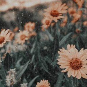 Meet your Posher, Gabi